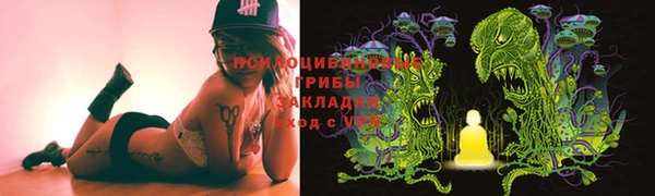 Альфа ПВП Алексин