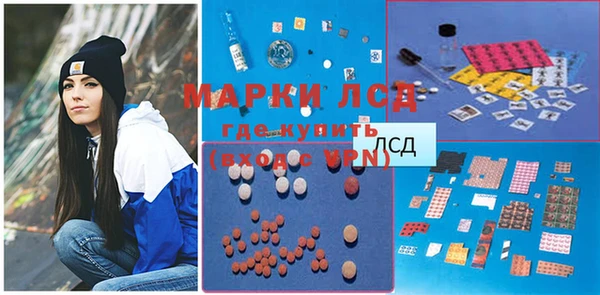 индика Абинск